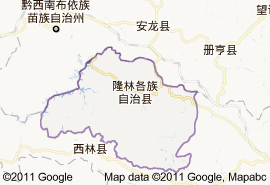 隆林各族自治县地图