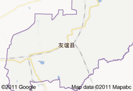 友誼縣地圖