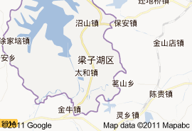 梁子湖區地圖