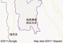 維西傈僳族自治縣地圖