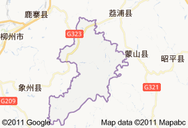 金秀瑶族自治县地图